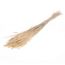 Pheleum natural