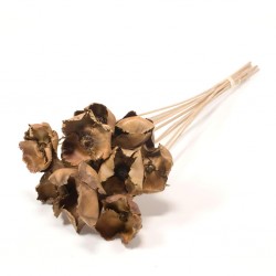 Palmcup natural p10