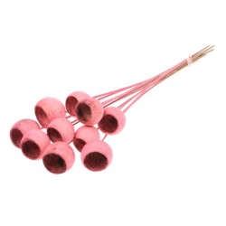 Bellcup rosa P10