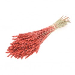 Espiga vermelho glitter