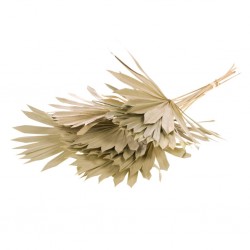Palm sun spear mini natural