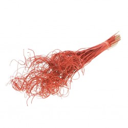 Ting ting vermelho gliter