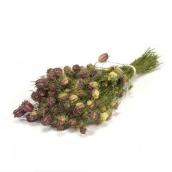 Nigela natural bordeaux