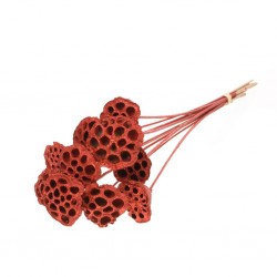 Lotus c/pau vermelho gliter...