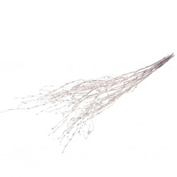Birch haste 60cm prata