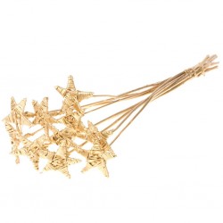 Lata star ouro p10