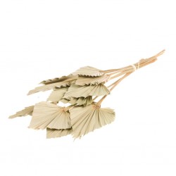 Palmspear mini natural p10