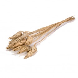 Cane cone naturalP10