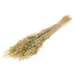 Oats natural